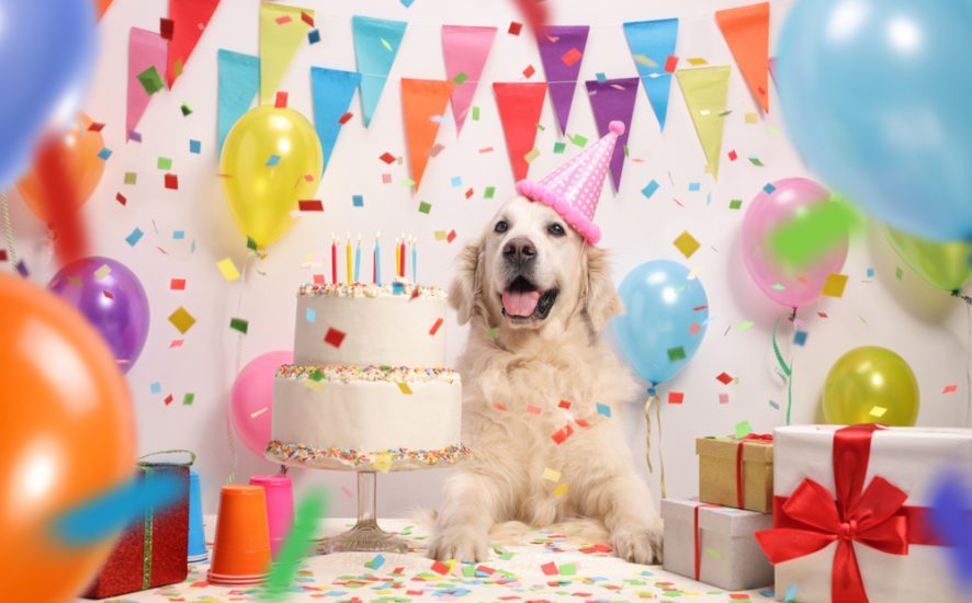 Celebrating Birthdays How Do Different Cultures Celebrate?