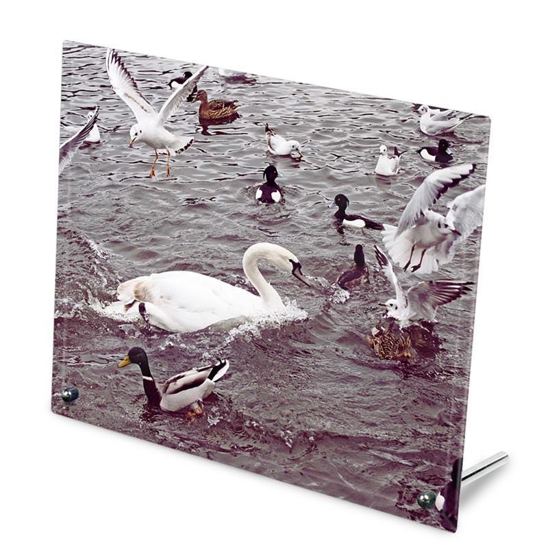 Custom Glass Pictures. Glass Photo Prints.